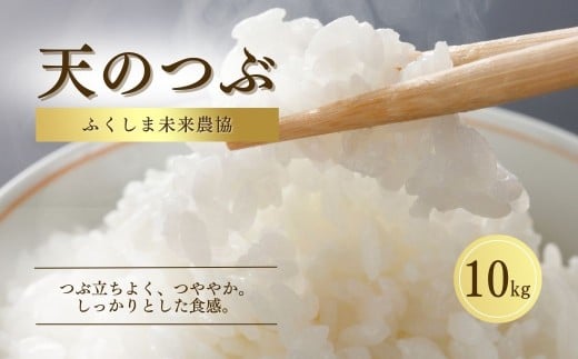 【先行予約】白米 10kg 天のつぶ 令和7年産 | 精米コメ ごはん ブランド米 大粒 福島 福島県産 南相馬 ふくしま未来農協 JA