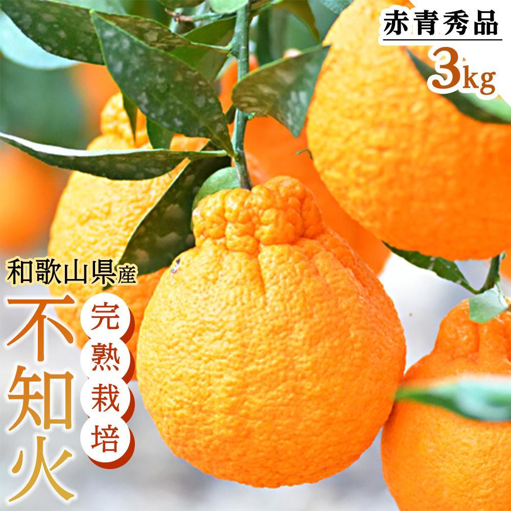【ふるさと納税】［先行予約］【選べる容量】不知火（完熟栽培）樹上約300日 約3kg (8玉～12玉) or 約5kg (15玉～28玉) 赤青秀品【和歌山 海南市 農園直送】 | ふるさと納税 楽天ふるさと 和歌山 和歌山県 海南市 蔵出し 特産品 果物 フルーツ ミカン 不知火 柑橘類
