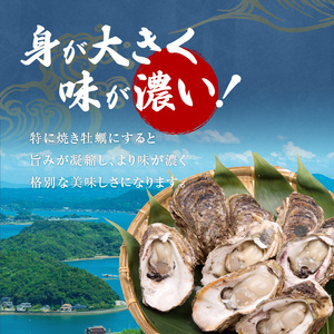 S002-019A_岩牡蠣　約3ｋg　約3人前