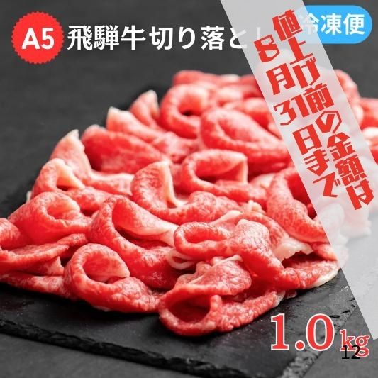 【ふるさと納税】【9/1より値上げ】 A5飛騨牛 切り落とし 1kg (500g×2) 訳あり 不揃い 家庭用 小分け すき焼き 牛丼 便利 おすすめ 国産牛 ブランド牛 黒毛和牛 人気 岐阜県 大垣市