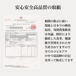 【定期便　全6回】最高級コーヒー コピルアク 100g【中細挽き（サイフォン）】