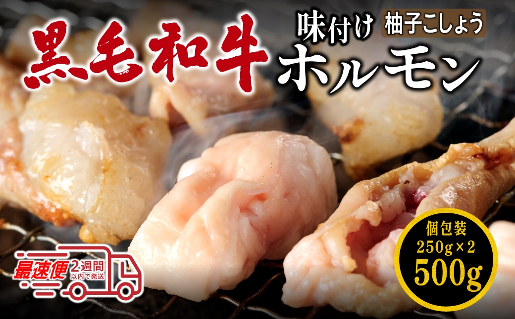 
            国産黒毛和牛 タレ漬けホルモンミックス柚子胡椒250g x 2袋　焼肉用 ホルモン 肉 小分け 冷凍 ギフト 大容量

          