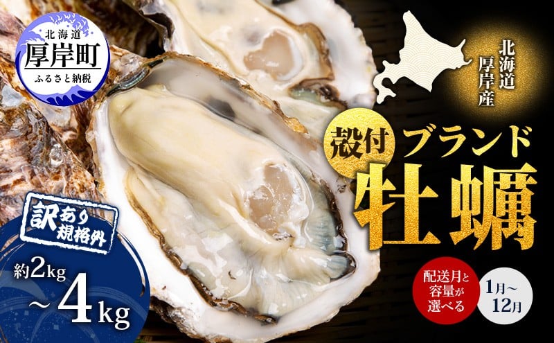 
            お届け月が選べる 訳あり 牡蠣 北海道厚岸産 殻付カキ 約2kg（11～25個）～約4kg (25から50個) カキナイフ付 生食 生牡蠣 貝付き牡蠣 貝 海鮮 魚介類 殻付き牡蠣 マルえもん[№5863-0514-01]
          