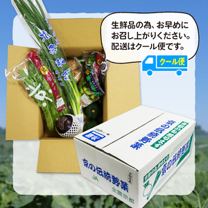 【 定期便 】 京野菜 野菜 6種 程度 定期便 4回 (野菜 詰め合わせ 野菜 京都 野菜セット 季節 旬 栄養食 栄養野菜 九条ネギ 野菜 万願寺 野菜 賀茂なす 野菜 京都府産 野菜 数量限定 