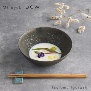 【美濃焼】 五十嵐務 中鉢 ブロンズ釉 瑞浪市 / JS企画 陶芸作品 鉢 取鉢 インテリア 食器 ボウル [AZAZ217]