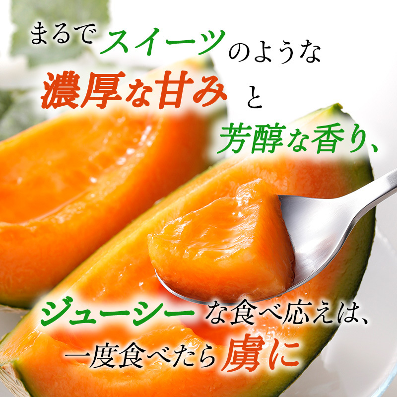 【令和8年産】赤肉メロン JAふらの厳選！ 約1.6kg 2玉 メロン めろん 富良野メロン 果物 くだもの フルーツ 富良野 デザート 北海道 北海道上富良野町 