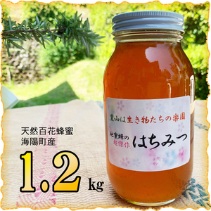 天然百花蜂蜜 1.2kg ハチミツ はちみつ honey ニホンミツバチ 天然の花