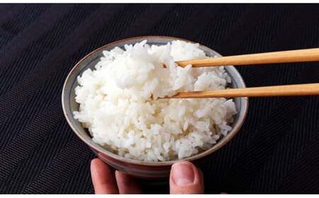 先行予約 [定期便4kg×6か月] 新潟県産 こしひかり 4kg(2kg×2袋)×6か月 新潟県 三条市 下田産 コシヒカリ 精米 白米 【060S006】