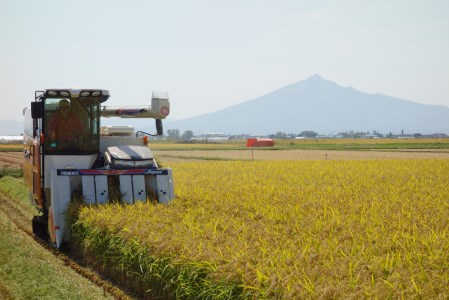 令和7年産 つがる市産「津軽のひとめぼれ」10kg｜2025年産 青森県 津軽 お米 白米 米 コメ こめ ひとめぼれ 精米 新米 [0894]