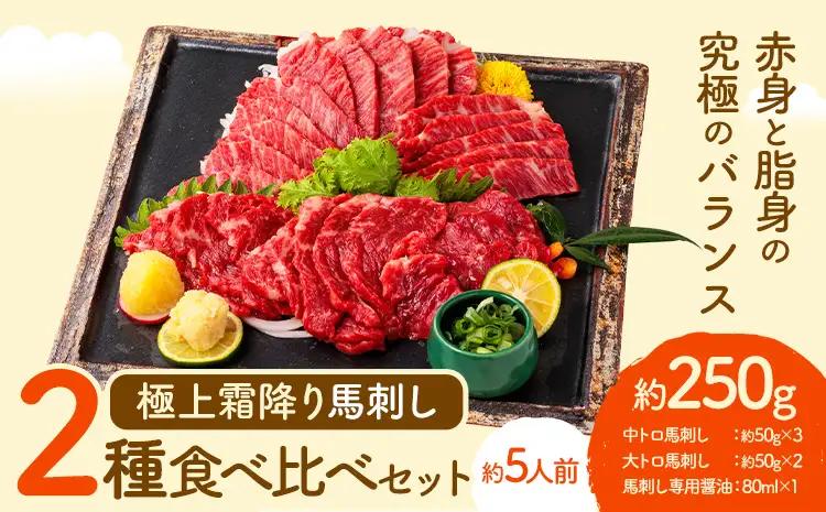 馬刺し 極上 霜降り 2種 食べ比べ セット 株式会社利他フーズ《30日以内に出荷予定(土日祝除く)》 中トロ 大トロ 国産 冷凍 生食用 肉 馬肉 ふるさと納税馬刺し 熊本県 南阿蘇村 送料無料 馬刺 ばさし 名物