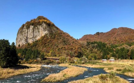 先行予約 さつまいも 紅はるか 5kg 収穫後熟成 [2025年2月上旬～順次発送予定] 三条市下田産ブランド「越紅(こしのくれない)」  [まもる農園] 【010S205】