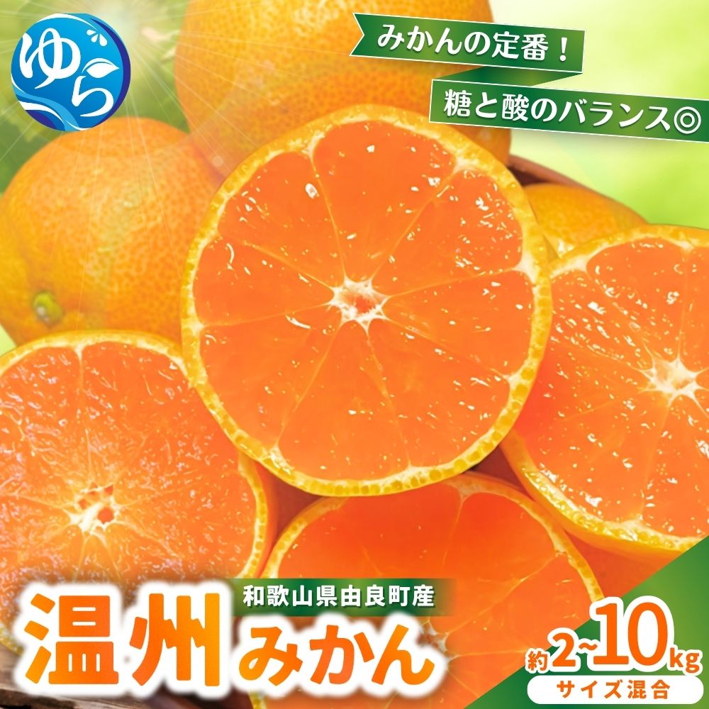【ふるさと納税】★レビューキャンペーン中★ 温州みかん 農家直送 2kg 5kg 10kg ※2025年11月中旬頃～2025年12月中旬頃に順次発送 農家直送 / くだもの 果実 柑橘 果物 フルーツ 国産 和歌山県 由良町 人気 おすすめ 1万円以下 ミカン 温州 うんしゅう