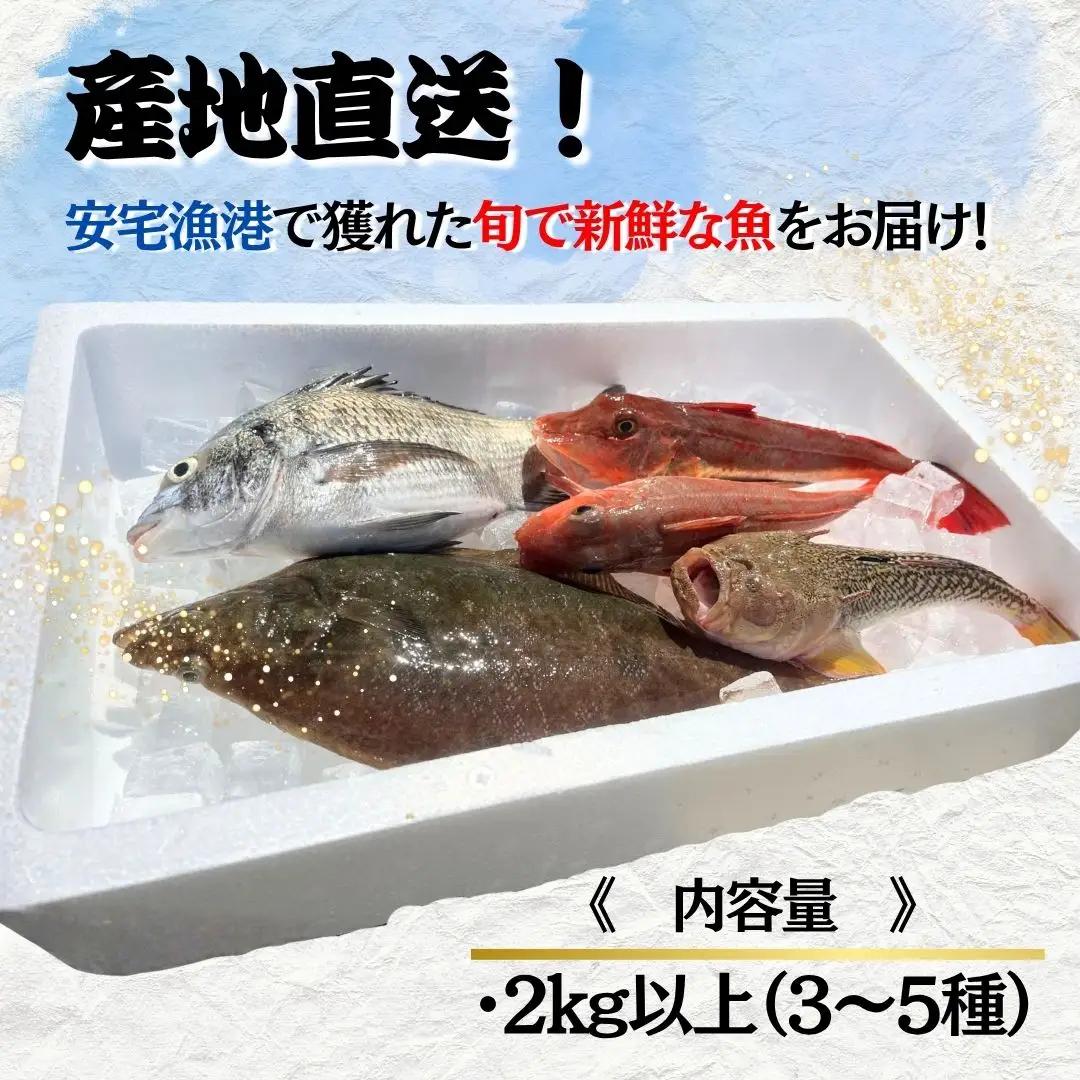【下処理済み】 旬の鮮魚 詰め合わせ 2kg以上  (3～5種)  安宅漁港 石川県 小松市