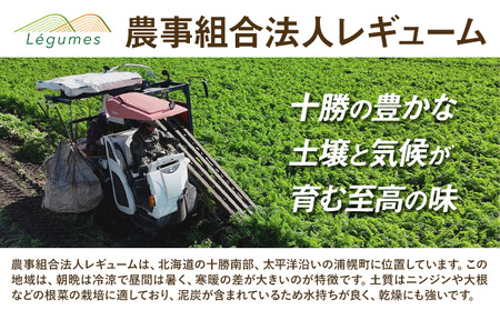 甘～いニンジン 十勝 浦幌べにかなで 【訳あり・不揃い】 約2kg 10～20本 農事組合法人レギューム《12月上旬から5月上旬頃出荷》北海道 浦幌町 人参 にんじん 安心 安全 野菜 お野菜 やさい