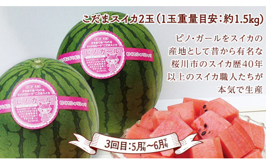 《 2027年 1月上旬開始 》全4回 定期便 贅沢 フルーツ 満喫コース KEK 国産 トマト フルーツトマト スイカ いちご メロン くだもの 果実 春 夏 秋 冬 特選 厳選 アド街ック天国 ア
