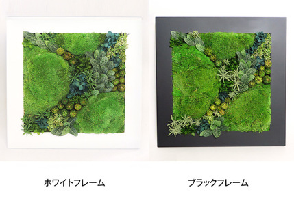グリーンフレーム２L 花 お花 プリザーブドフラワー ギフト プレゼント お祝い 誕生日 お供え アレンジ インテリア 東京都 墨田区 黒フレーム