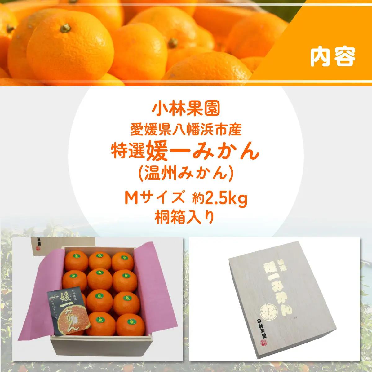 【先行受付】桐箱入り・媛一みかん(2.5kg)【D24-4】【1045056】 YWTAD002