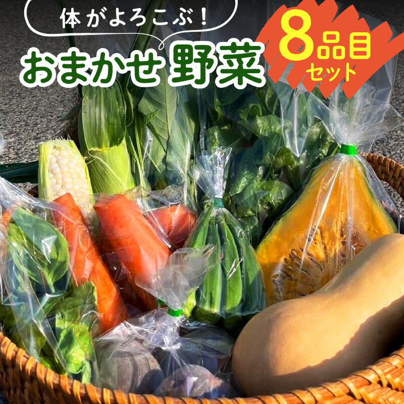 【ふるさと納税】体がよろこぶ 野菜 8品目 セット おまかせ 食べ頃 旬 品種 詰め合せ 新鮮 冷蔵発送 ヤングコーン ピーマン キュウリ オクラ ナス 白ナス ミニトマト かぼちゃ 人参 パクチー ケール 黒キャベツ ブロッコリー お取り寄せ 福岡県 久留米市 送料無料