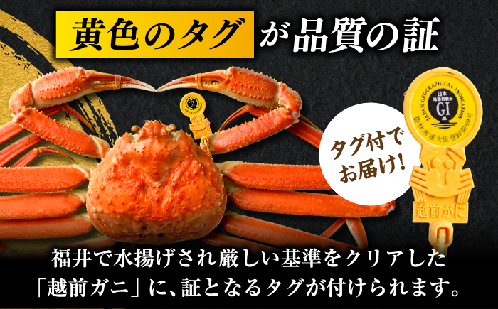 【先行予約/12月25日より順次発送】【年末希望】越前がに 700ｇ×3杯 ズワイガニ ずわいがに ボイル 冷蔵 小浜市 / まるほ商店 【配送不可地域：北海道・沖縄・離島】[BFCS038]