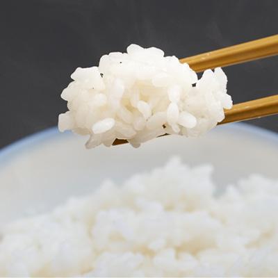 ふるさと納税 多古町 令和6年産　たこまいらいふ萩原農場の多古米コシヒカリ(精米)5kg |  | 01