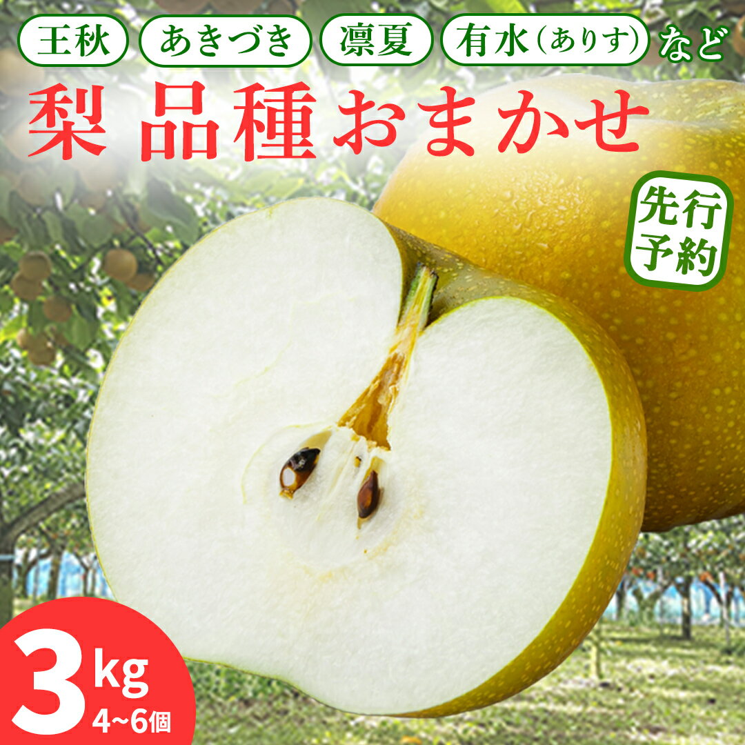 【ふるさと納税】【先行予約】旬の品種を厳選！梨 品種 おまかせ 4～6個 （ 約3kg ） 2026年先行予約 農家直送 恵水 王秋 あきあかり あきづき りんか 完熟 フルーツ 果物 産地直送 糖度 高い 梨 茨城 人気