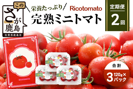 【2回定期便】【先行予約】完熟ミニトマト 【少量パック】120gx3p　たにぐちファーム 完熟ミニトマト 360g とりこになるトマト 野菜 とまと トマト リコピン 佐賀産 佐賀県 鹿島市　C-148