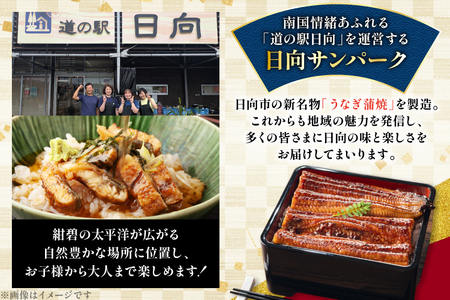 うなぎ 国産 日向極み うなぎ蒲焼 2尾 計320g以上 [日向サンパーク 宮崎県 日向市 452061713]