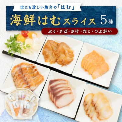 ふるさと納税 野々市市 【簡単・便利・味付け不要】海鮮はむスライス5種(ぶり、さば、さけ、たこ、つぶがい)詰合せ