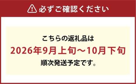 [HS]ぶどう 最高級品シャイン マスカット 晴王 1房 約700g【2026年9月上旬～10月下旬発送】【ブドウ 葡萄  岡山県産 船穂産 フルーツ 果物 ギフト】