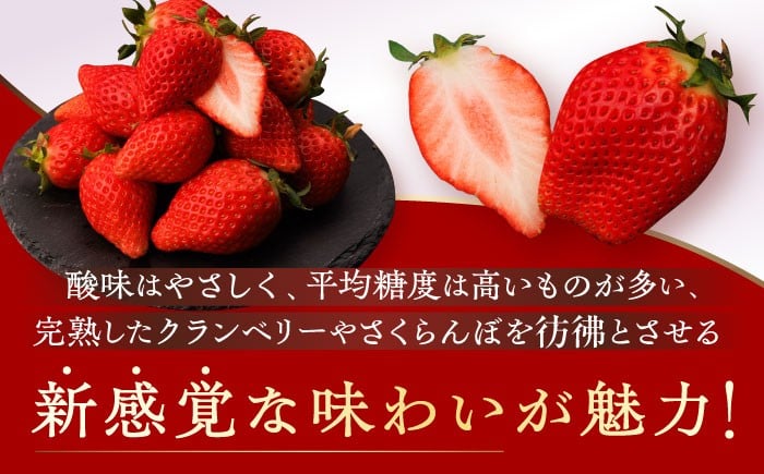 全国で唯一 の超希少品種！メディアで多数紹介されています！