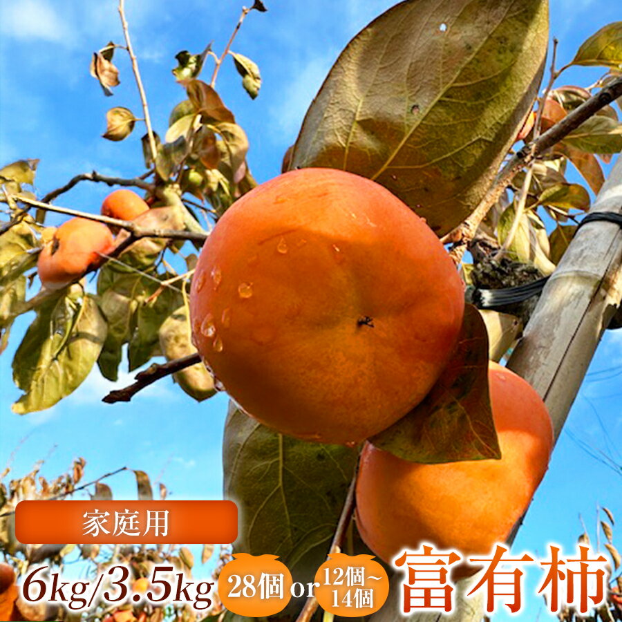 【ふるさと納税】【家庭用】 富有柿 ( 選べるサイズ・容量 ) 先行予約 令和8年11月中旬順次発送 |【お得にたっぷり楽しむ】 甘みと食感を存分に味わえる 柿 富有柿 フルーツ 果物 完熟 国産 季節の果物 家庭用 自宅用 加工用 料理用 大容量 岐阜県 本巣郡 北方町