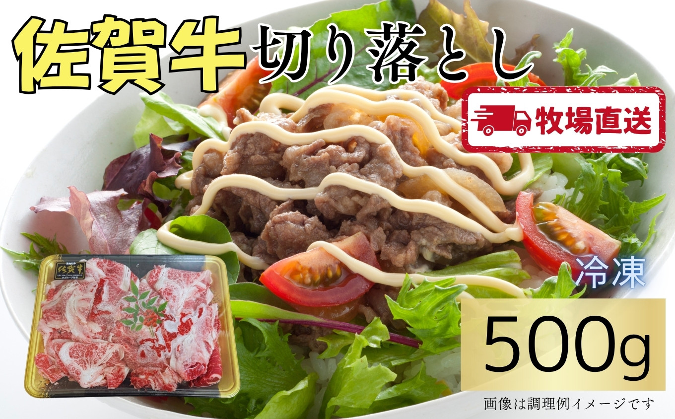 
            佐賀牛切落し500g［A0102-0004］
          