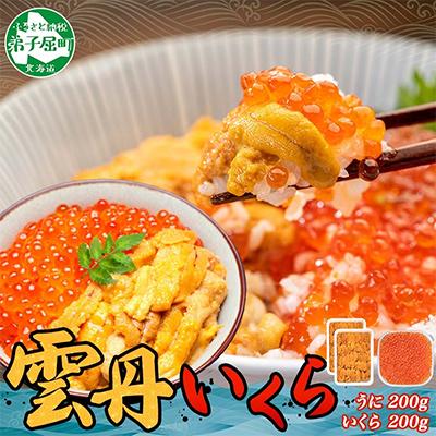 ふるさと納税 弟子屈町 ウニ 200g &amp; いくら醤油漬け 200g 海鮮丼 北海道 弟子屈町 3400