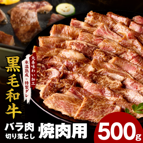 黒毛和牛 バラ 焼肉用 500g【切り落とし 小分け 氷温熟成×特製ダレ 味付け 焼くだけ 簡単調理 BBQ 牛肉】 mrz0306