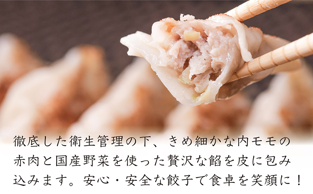 沖縄県産　金アグー　肉餃子　大容量　96個入り　12個×8パック_イメージ2