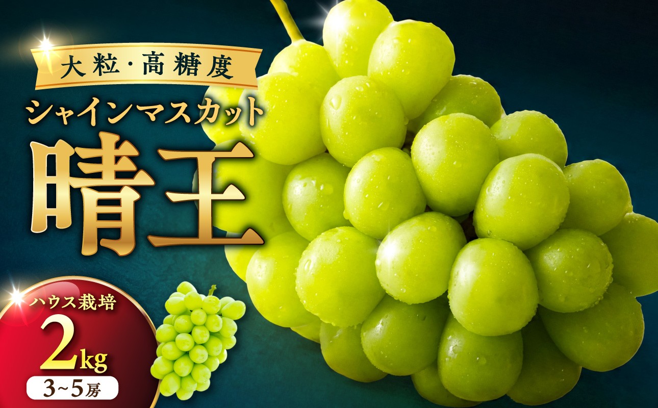 岡山県産シャインマスカット「晴王」【ハウス栽培】約2kg（3～5房程度）【シャインマスカット シャイン マスカット 晴王 フルーツ 果物 くだもの 葡萄 ぶどう 岡山県産 種無し 高糖度 ハウス栽培 2027年 令和9年 先行受付 先行予約】