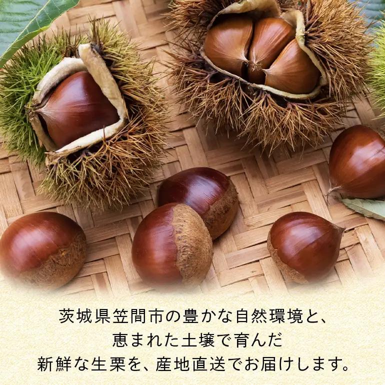 【2026年先行予約】【訳あり】 小粒 荒むき栗 1kg 栗 農産物直売所すわ JV-008