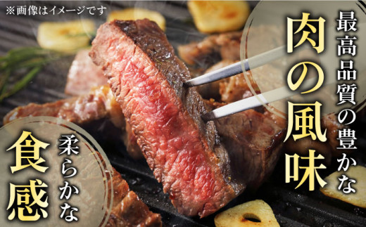 【ヘルシーにお肉を楽しむ♪】 長崎和牛 赤身 切り落とし（モモ） 計1.0kg （約500g×2）【黒牛】 [QBD019] 長崎和牛 牛肉 切り落とし モモ お肉 和牛 国産 肉 焼肉 23000円