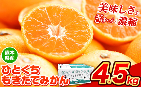 【2025年先行予約】訳あり みかん ひとくちもぎたてみかん 約 4.5kg (4.5kg×1箱) S-3Sサイズ 訳あり ご家庭用 熊本県産 期間限定 フルーツ 果物 旬 小玉 みかん《2025年10月中旬-12月末頃出荷》