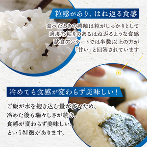 MR-09 大山諸遊農場の星のように輝くお米「星空舞」　５kg【定期便3回コース】