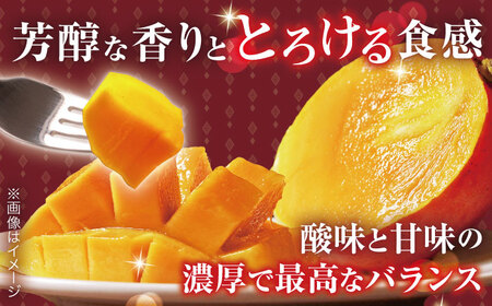 【訳あり】【心地よい至福の果肉感！】完熟プレミアム プリンセスマンゴー 不揃い3000g【堀内フルーツファーム】[QAT015]