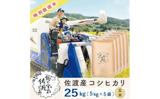 佐渡島産コシヒカリ 玄米25kg(5kg×5袋)【令和7年産】特別栽培米 農家直送