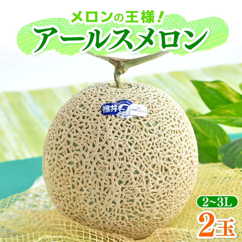 【先行予約】メロンの王様！アールスメロン 2玉入 2～3L 〈贈答用にも最適な最高級メロン〉／ 期間限定 果物 フルーツ 高級メロン マスクメロン 青肉 産地直送 ※2026年7月中旬より順次発送 [aw003-a011]