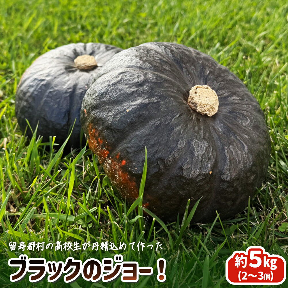 【ふるさと納税】留寿都村の高校生が丹精込めて作ったブラックのジョー！【23003】