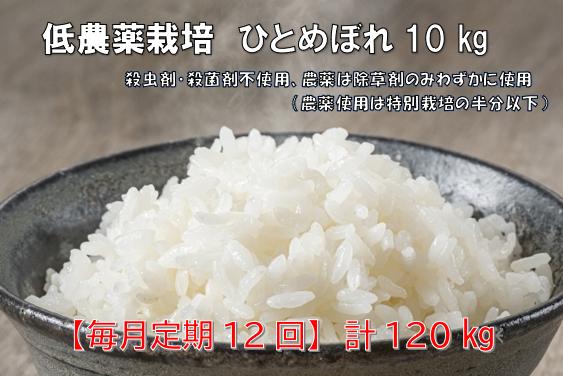 
            ＜新米先行予約＞【毎月定期12回】令和7年産 新米 低農薬栽培米 ひとめぼれ 10kg 【精米】
          