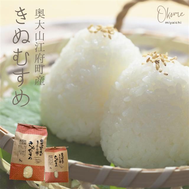 【令和7年産】きぬむすめ 2kg 鳥取県江府町産 キヌムスメ 精米 産地直送  お試し2ｷﾛ 0932