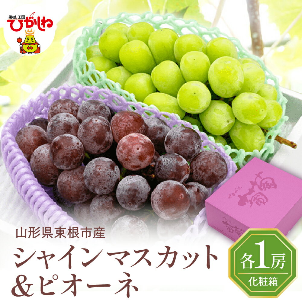 【ふるさと納税】2025年 ぶどう「 シャインマスカット ＆ ピオーネ 」各1房 約1.2kg (600g×2) ブドウ 葡萄 フルーツ 果物 くだもの 期間限定 箱入り 化粧箱 産地直産 ご当地 お取り寄せグルメ 秋 旬 お取り寄せ 東北 山形県 東根市産