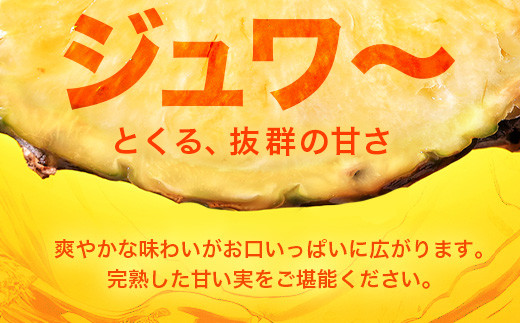 【先行予約】パールパイン1ｋｇ（1～2玉）お勧め♪川平パイン《2026年7月～8月頃順次発送》KN-2