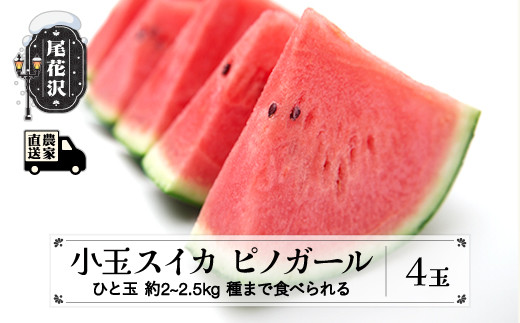 先行予約 小玉スイカ (約2~2.5kg)×4玉 7月中旬～8月上旬頃発送 ピノガール タネまで食べられる 令和9年産 2027年産 尾花沢産 スイカ すいか 西瓜 果物 くだもの フルーツ 観光物産 kb-supgx4