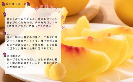 【2025年先行予約】［なんばふぁーむ］岡山県産 黄金桃 2.0kg（6～9玉）［ご家庭用］